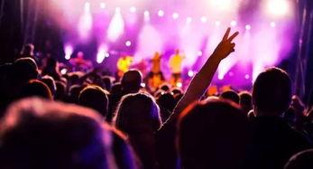 广西音乐节爆料视频,视听盛宴,青春狂欢纪实 第1张 广西音乐节爆料视频,视听盛宴,青春狂欢纪实 第1张